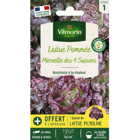 Sachet graines Laitue Merveille des quatre saisons (1/2)
