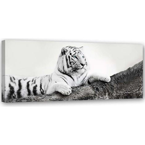 Quadro su tela, Animali tigre Africa - 120x40 (1/5)