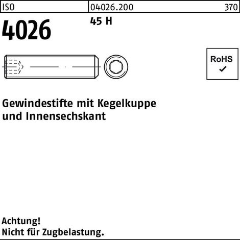 ISO 4026 Gewindestift 45 H M 4 x 3 1000 Stk (1/2)