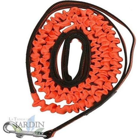 Laisse anti-traction pour chien 150cm orange, pour la protection des animaux