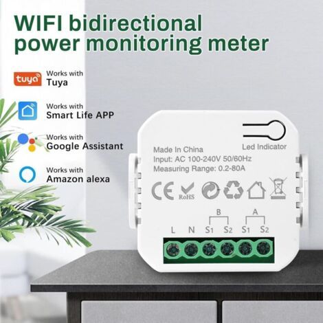 NALOOKAMIC Compteur Electrique Connecté 80A Compteur Electrique Moniteur D'énergie Domestique Wi-FI Bidirectionnel avec 2 Pince Compatible avec Tuya Smart Life