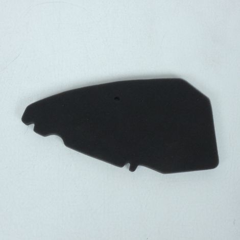 Filtre à air Sifam pour Scooter Derbi 100 Atlantis Lc 2002 à 2004 (1/5)