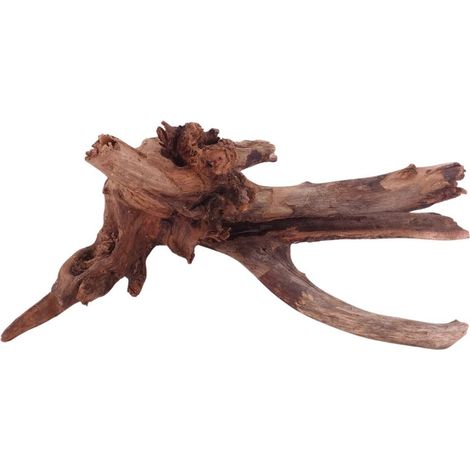 M Driftwood Flußwurzel Nr.4834 Holz Deko Aquascaping