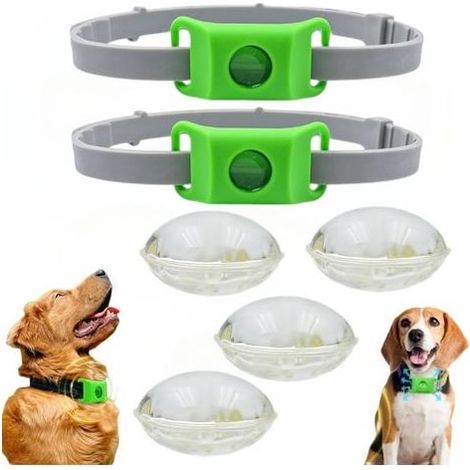 Collier Anti Parasitaire Chien - Pendentif Répulsif Naturel Huiles Essentielles, Médaillon Réglable, Contre Puces et Tiques, Pour Chien et Chat, Protection Durable (1/5)