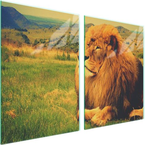 Plaque de protection en verre pour poêle 2x45x52 Lion (1/5)