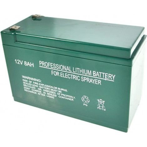 Batteria al litio da 12v a 8ah Burg, Trinagria compatbile