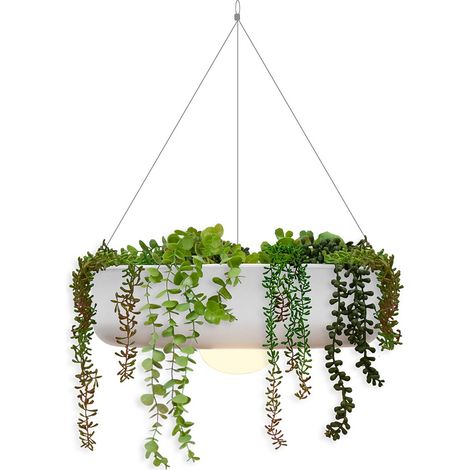 ELBA Lámpara colgante de 39 cm con luz LED cálida y batería recargable. Fabricada en España (1/4)