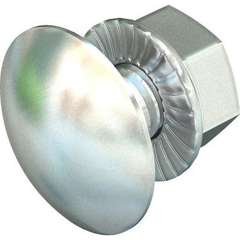 OBO Bettermann Tornillo de cabeza avellanada plana con tuerca combinada M6x12 acero inoxidable, inoxidable A2 1.4301 brillante, postratado, 6406138