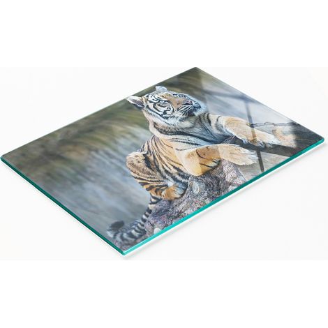 Planche décorative multifonctionnelle de cuisine en verre trempé, motif tigre, 80 x 52 cm (1/5)