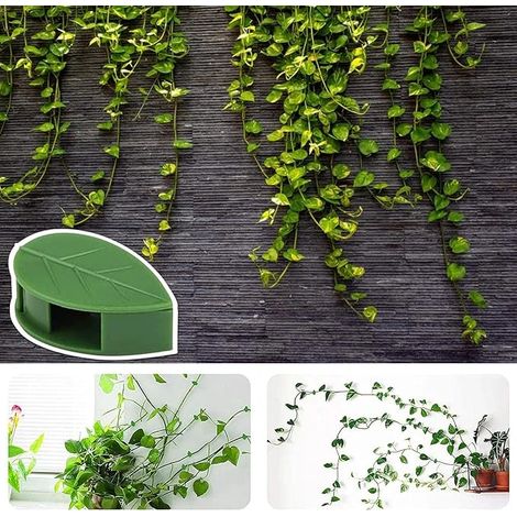 Lot de 100 tuteurs invisibles autocollants pour plantes grimpantes murales (1/4)