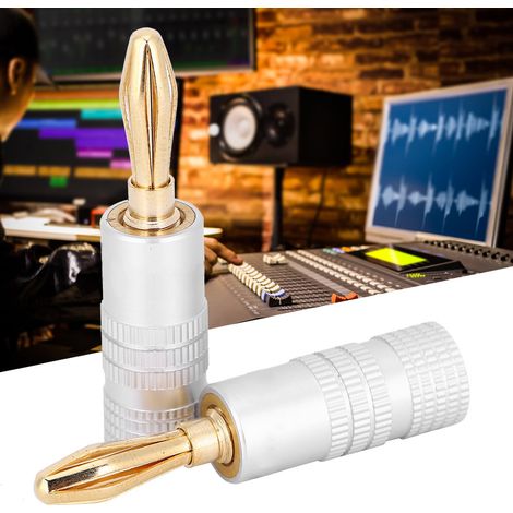 20 Fiches Banane Laiton Plaqué Or Connecteur Enceinte 4mm Antihumidité pour NAKAMICHI Audio (1/5)