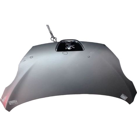 Capot PEUGEOT 107 [PRODUIT D'OCCASION]♻️1611149380 (1/2)