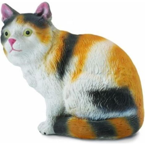 Gatto domestico seduto - tricolore