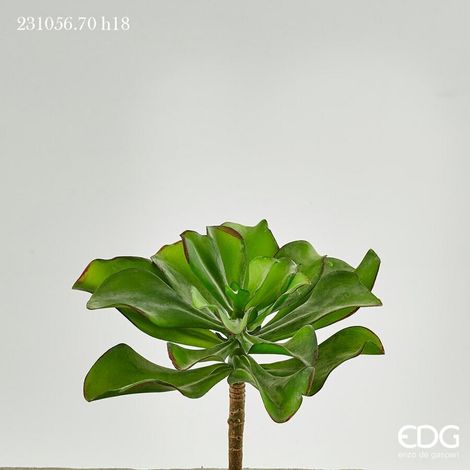 EDG Enzo De Gasperi Succulenta Pick Jade H 18 Cm Green – Pianta Artificiale Decorativa Realistica Design Moderno