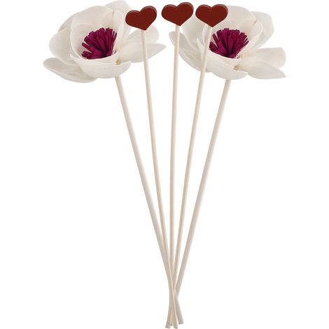 5 flammenlose Aromadiffusorstäbchen für Wohnzimmer, Büro und Zuhause (1/5)