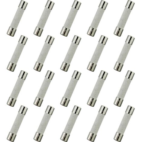 T20AL250V 20 pièces 6x30 mm 0.24 x 1.18 pouces fusible à tube en céramique à fusion lente 20A 250V (1/4)