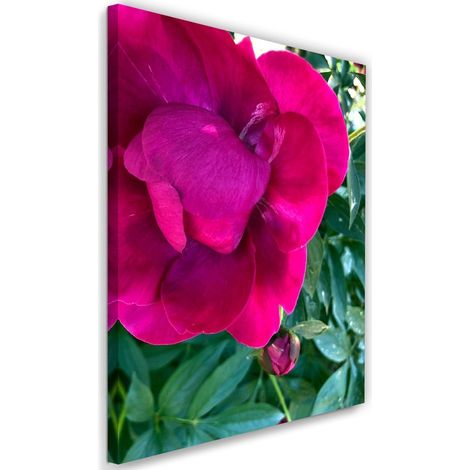 Tableau décoratif Pivoine Fleur Rose 40x60 (1/5)