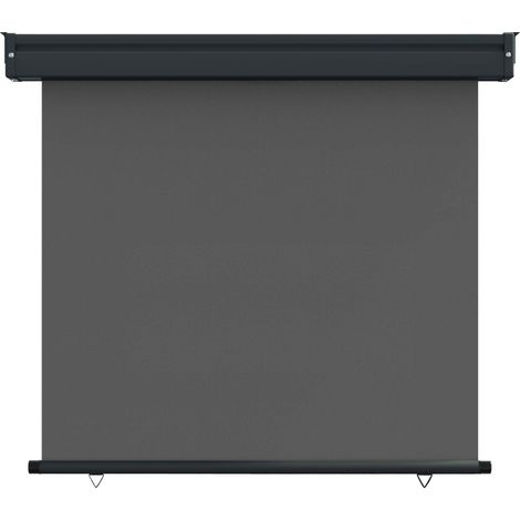 Maison Exclusive - Tenda laterale per balcone 60 x 250 cm (1/5)