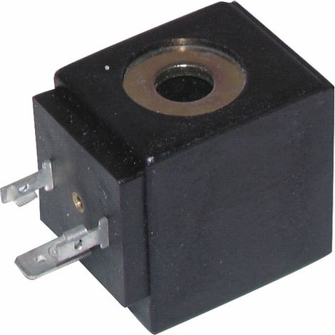 Bobine de rechange pour électrovanne BSOD 24Vac - DIFF