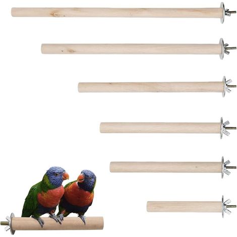 Perchoir en Bois Naturel pour Oiseaux et Perroquets - Support de Cage Facile à Installer - Accessoires pour Petits et Moyens Perroquets, Canaris et Perruches