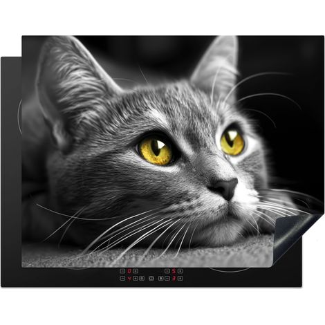 PROTEZIONE PER PIANO COTTURA A INDUZIONE Gatto - Grigio - Animali - Gatto 77x59
