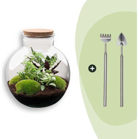 Terrarium pour Plantes DIY avec Éclairage Écosystème Autonome Ø 31 cm Kit Complet avec Outils - PANGIVO (1/3)