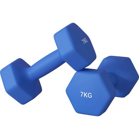 SPORTNOW Set 2 Manubri Pesi da 2x7kg in Metallo e Plastica 22.5x10.5x10.5 cm Blu (1/5)