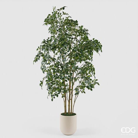 EDG Enzo De Gasperi Pianta Artificiale Ficus Beniamino Vogue con Vaso H 240 Cm – Pianta Decorativa Realistica Design Moderno