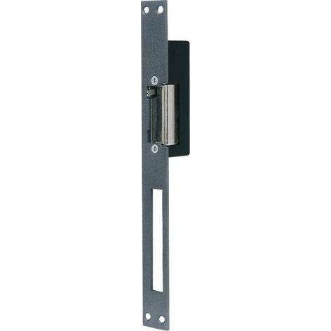 Gache elettrica per chiave reversibile Execution Std 001014