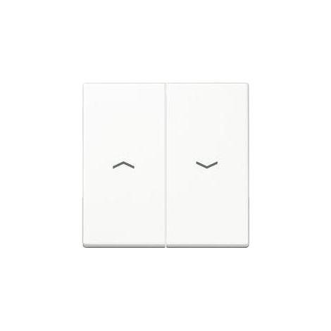 Jung Wippe Symbole aws für Jal.Wippschalter A 595 P WW (1/5)