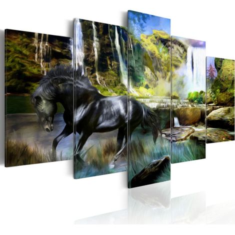 Tableau "Cheval Noir sur Fond de Cascade Paradis" 50 x 100 cm (1/2)