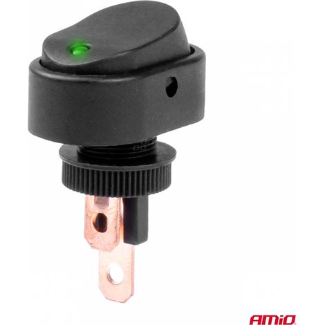 Interrupteur ellipse avec rétroéclairage 12V 24V AMIO-03087 (1/5)