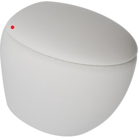 Coprivaso per WC Chiusura con Rallentatore - Silenzioso - In Termoindurente (1/5)