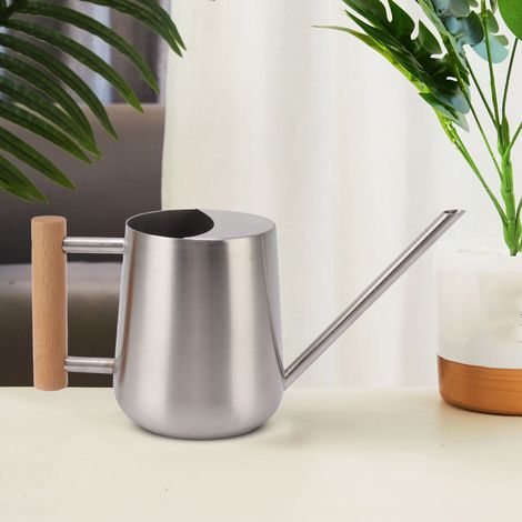 Gießkanne „SILVER Breeze“ (900 ml) – Elegante Edelstahl-Gießkanne mit langem Ausguss und Holzgriff für Garten und Innenräume (1/5)