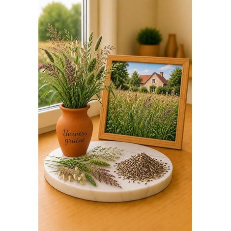 250 Graines de Mélange Gazon Intermediaire - 7 Variétés annuelle et Vivace - Fleur Jardin - 509 (1/3)
