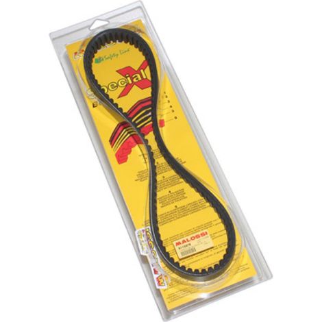 Courroie de transmission Malossi pour Scooter Honda 125 Nss Forza (1/4)