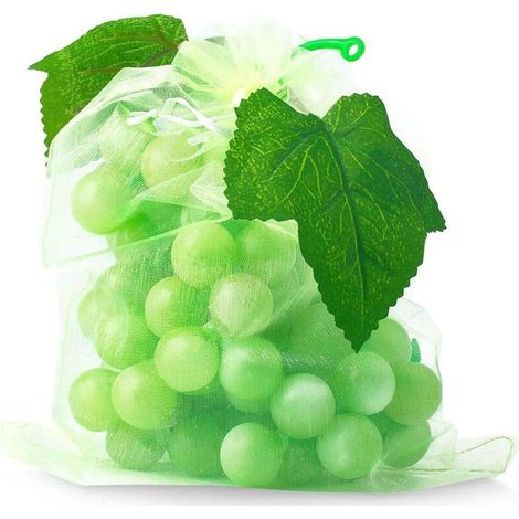 100 Sac Protection Fruits Sacs Filets Protection des Grappes de Raisins Contre Les Oiseaux et Insectes Guêpes Frelons 30 x 20 cm-DOU