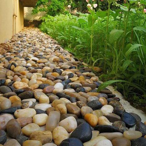 Pebbles - Pierres Décoratives Naturelles pour Aquarium - Paysagisme Aquatique - Galets Ronds Non Toxiques - 2 Sachets (1/5)