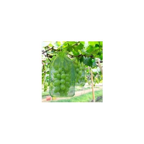 Sac antimouches et oiseaux pour melons, 100 pièces, 35 x 25 cm, avec cordon de serrage pour une protection complète