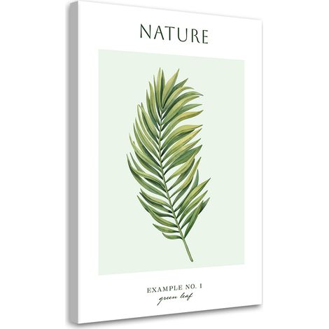 Tableau sur toile Feuille verte - Nature 40x60 (1/5)