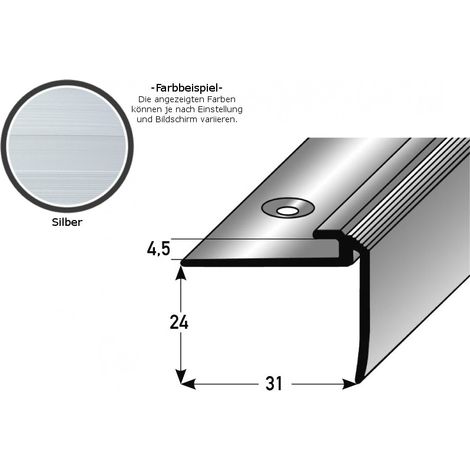 Einschubprofil "Kilkenny" mit Nase für Designbeläge, Einfasshöhe 5 mm, Aluminium eloxiert, gebohrt-silber-1000