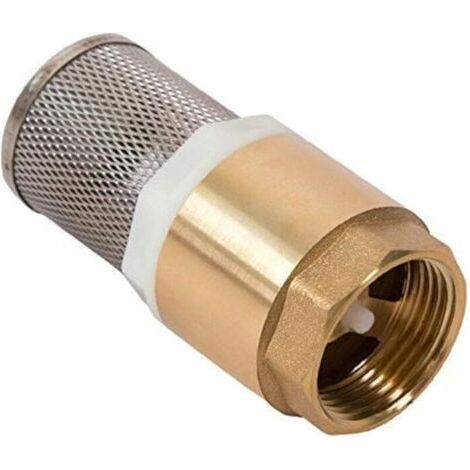 ALLIANDIS88 x 37mm Clapet Crepine Anti Retour 1'' - avec Crépine en Acier inoxydable et Vanne à Sens Unique/Vanne non Retour/Clapet Anti-Retour Pompe (Non Queue) (1/4)