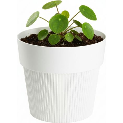 Vaso da fiori SILVA LINE in plastica riciclata, color crema, altezza 11,5x13,2 cm.