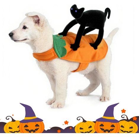 Déguisement amusant pour chien et chat avec un chat noir, vêtements pour animaux de compagnie pour Halloween, déguisement pour chien pour Halloween, convient à la plupart des chiens et chats (L) (1/5)
