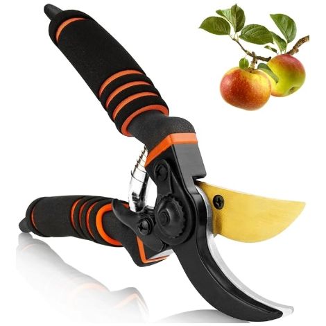 Professional Titanium Gardening Scissors, Gardening Scissors, Garden Scissors, Bypass Scissors, Gardening Scissors for Branches, Hedges and Flowers (1/5)