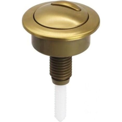 Bouton Poussoir Chasse d'Eau Doré Brossé Remplacement pour Réservoir WC Twyford Optima 49
