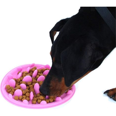 Bol Anti-Glouton En Silicone Sans Bord - Accessoire Ralentisseur De Repas Pour Chien Et Chat - Taille Petite - Rose (1/5)