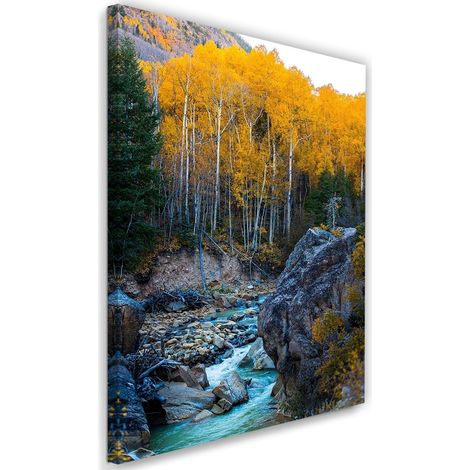 Tableau sur toile Ruisseau Forêt Nature Jaune 40x60 (1/5)