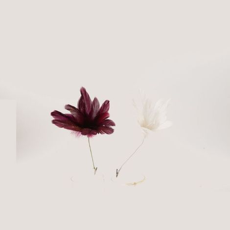FIORE IN PIUME COLORI ASSORTITI PREZZO CADUNO INDICARE LA PREFERENZA