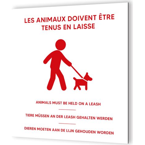Panneau Chien en laisse - Signalétique Dibond blanc - Picto rouge - 20x20 cm, 3 mm, intérieur et extérieur (1/5)